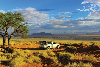 NAMIB DESERT LODGE NATURE DRIVES