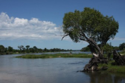 Zambezi River Canoe Trips 1
